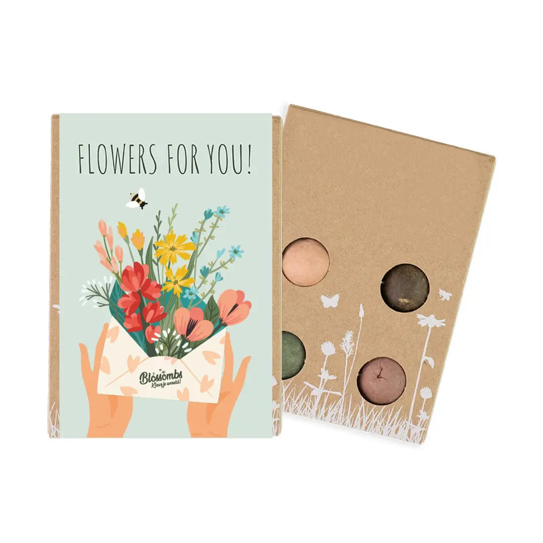 Mini Wildflower Seed Box