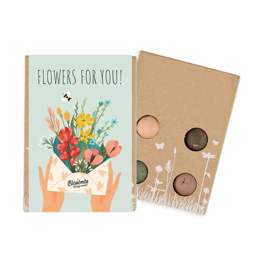 Mini Wildflower Seed Box