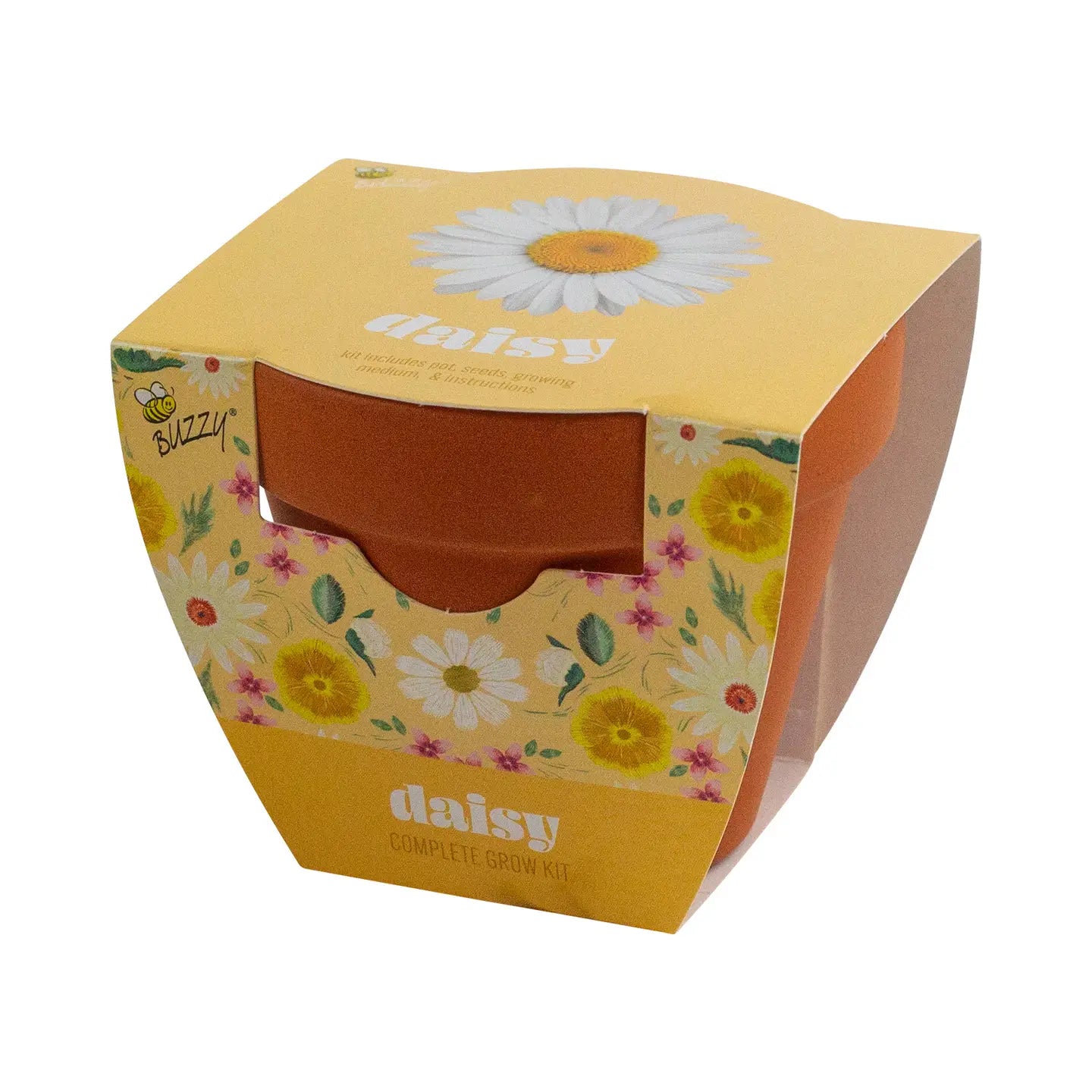 Classic 3.3 in. Terracotta Daisy Grow Kit| Indoor | Gift Pot