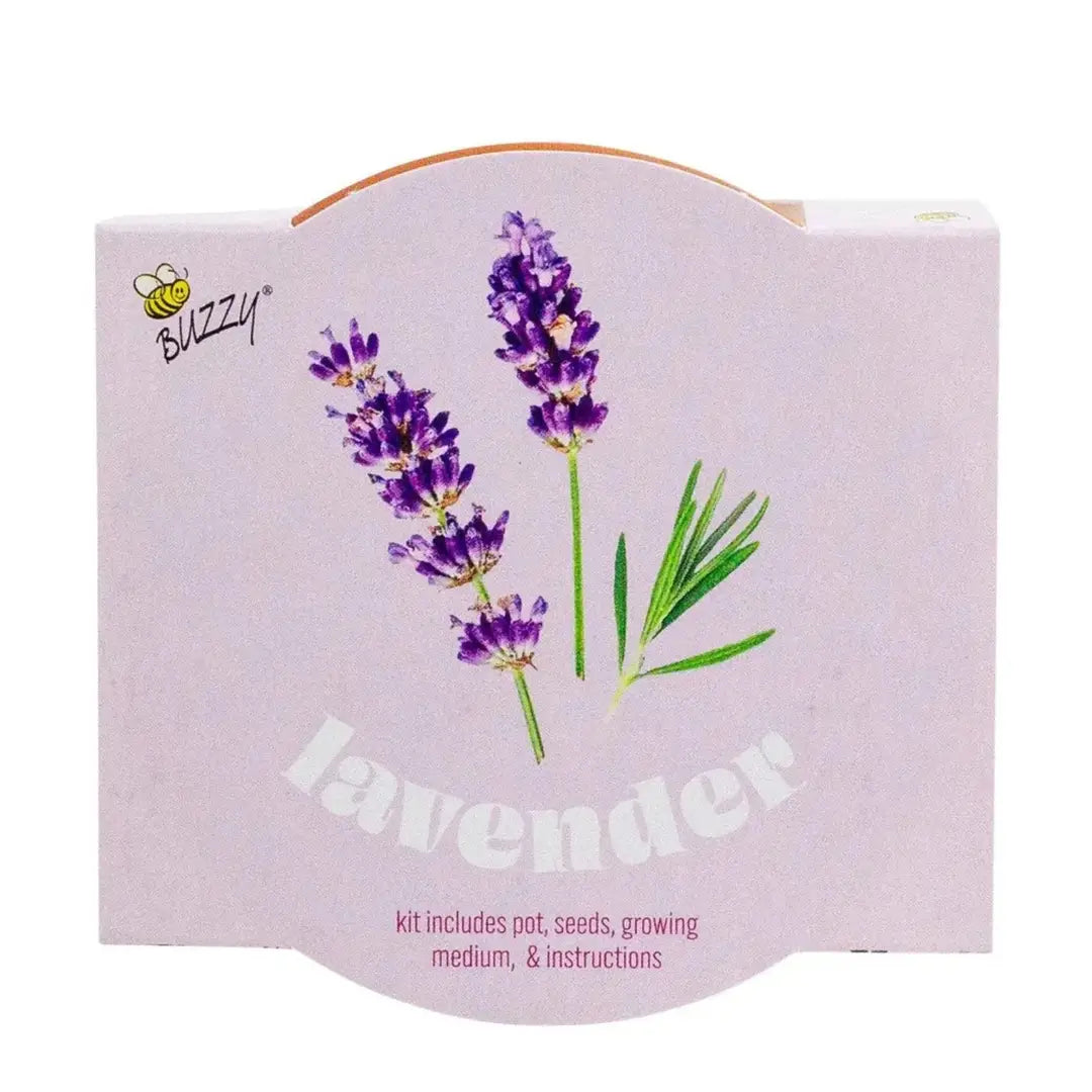 Classic 3.3 in Terracotta Lavender Grow Kit | Indoor | Gift