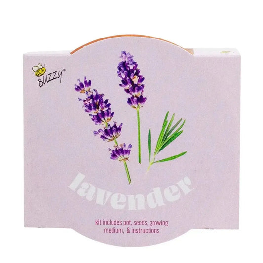 Classic 3.3 in Terracotta Lavender Grow Kit | Indoor | Gift