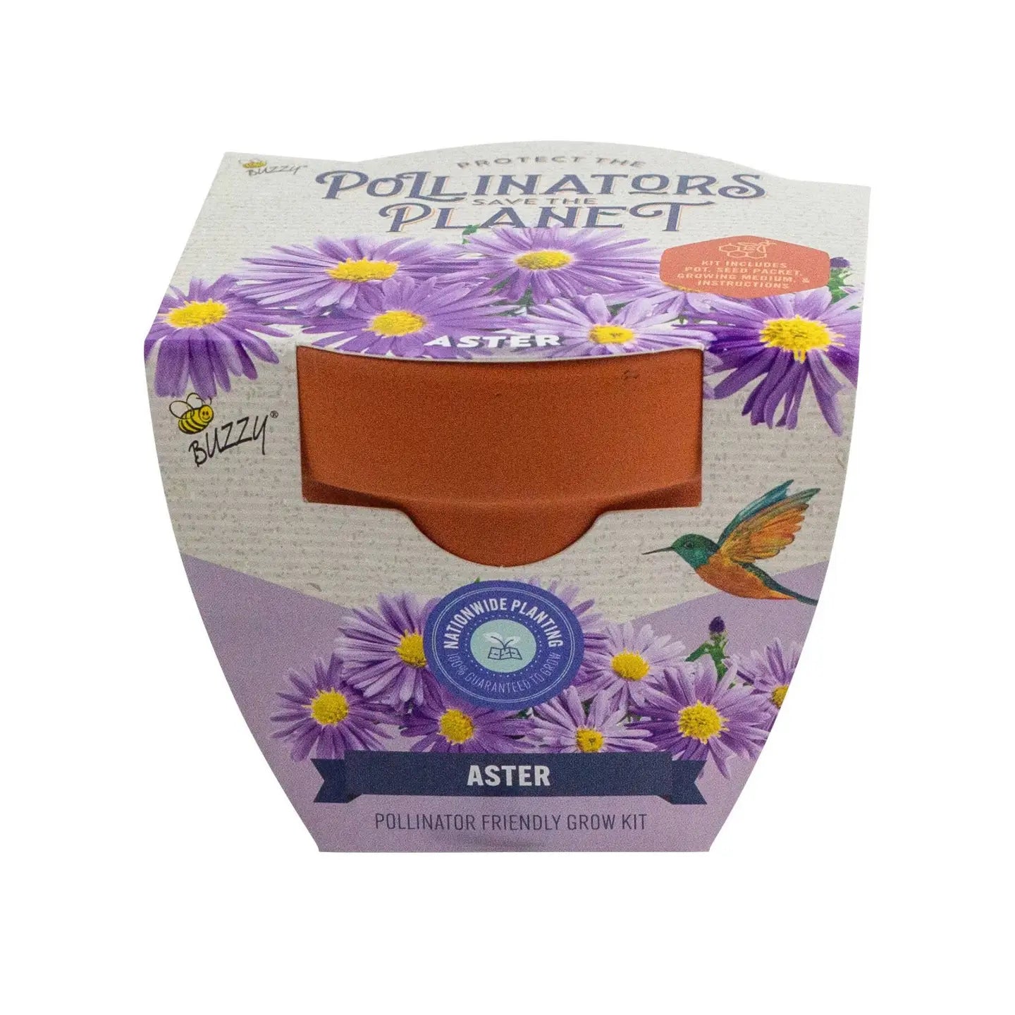 Terracotta Aster Grow Kit | Pollinator Gift | Indoor Set
