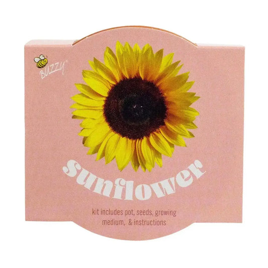 Classic Terracotta Sunflower Kit | Indoor Gift | Grow Kit