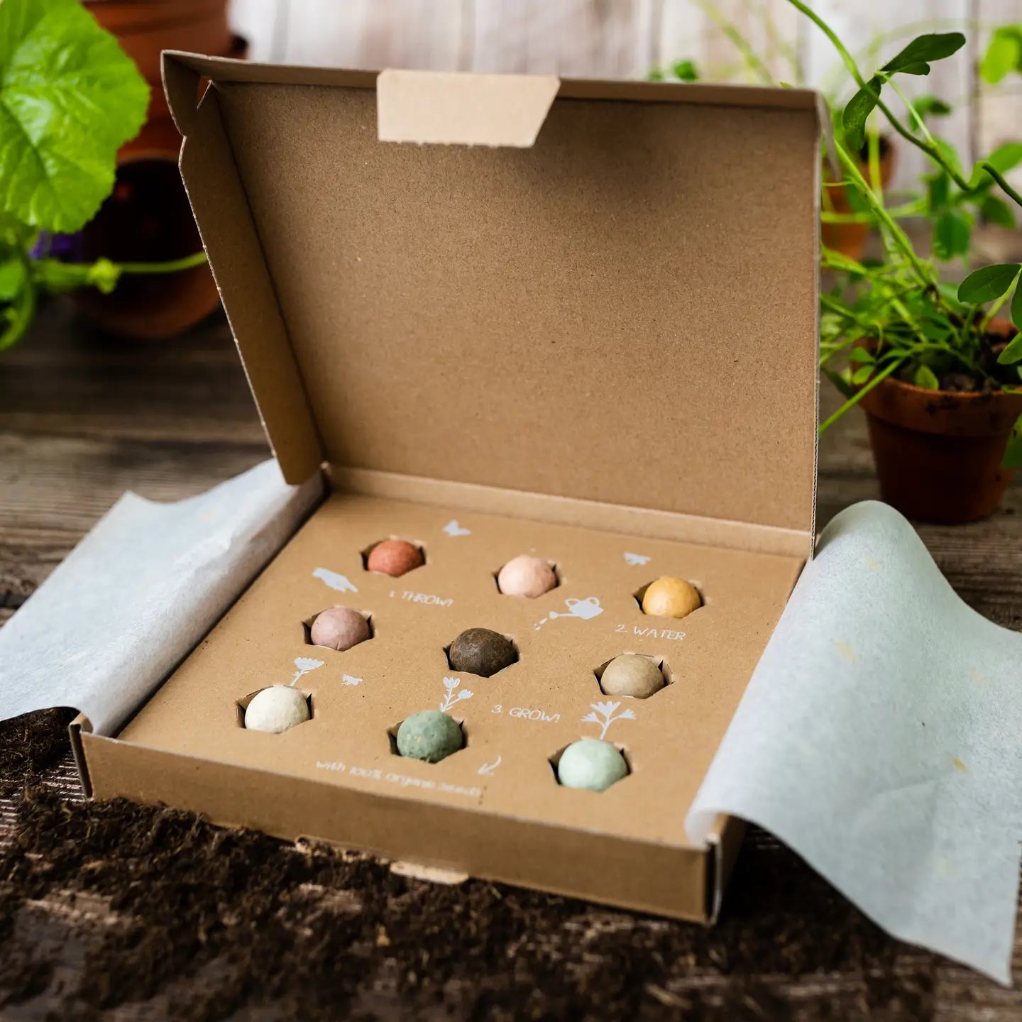 Flowers for Mom Grow Kit- Medium