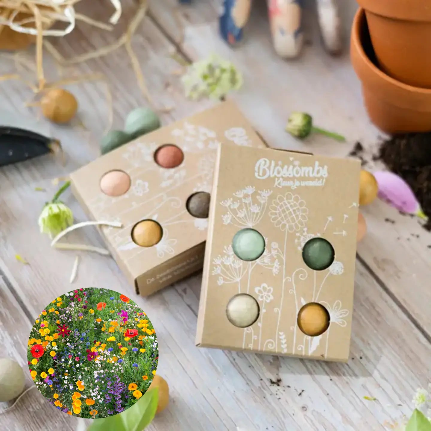 Mini Wildflower Seed Box