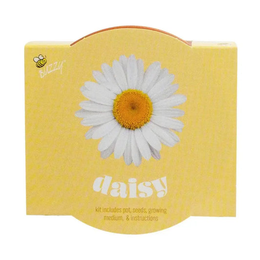 Classic 3.3 in. Terracotta Daisy Grow Kit| Indoor | Gift Pot